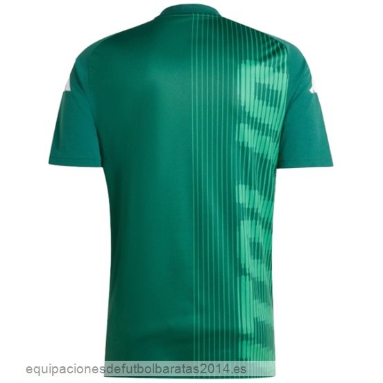 Nuevo Tailandia Previo al partido Camiseta Italia 2024 Verde Baratas